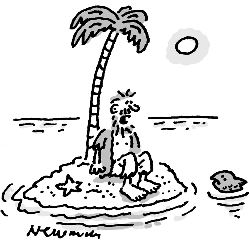 Newman - Stand by - 30 August 2025