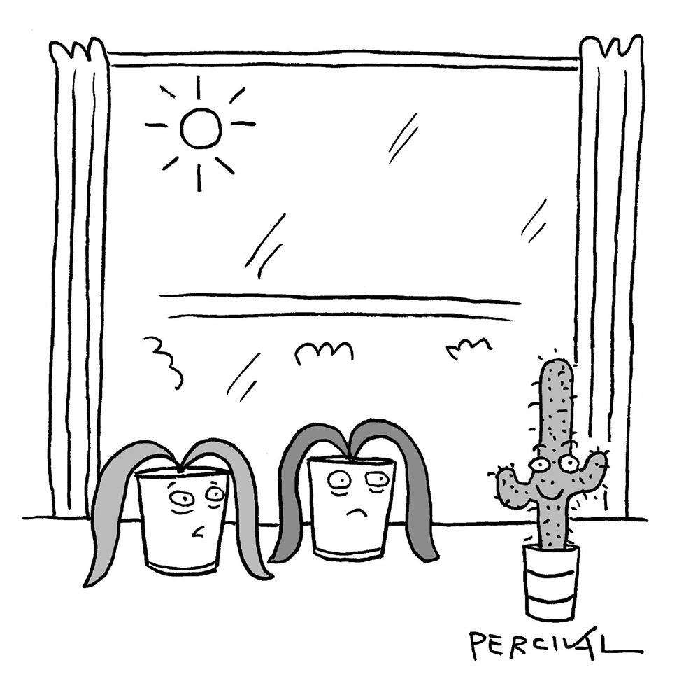 Matt Percival - ‘He thrives in a high-pressure environment.’ - 8 August 2026