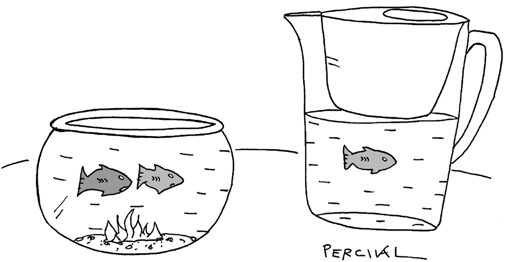 Matt Percival - ‘He thinks filtered is best.’ - 30 May 2026