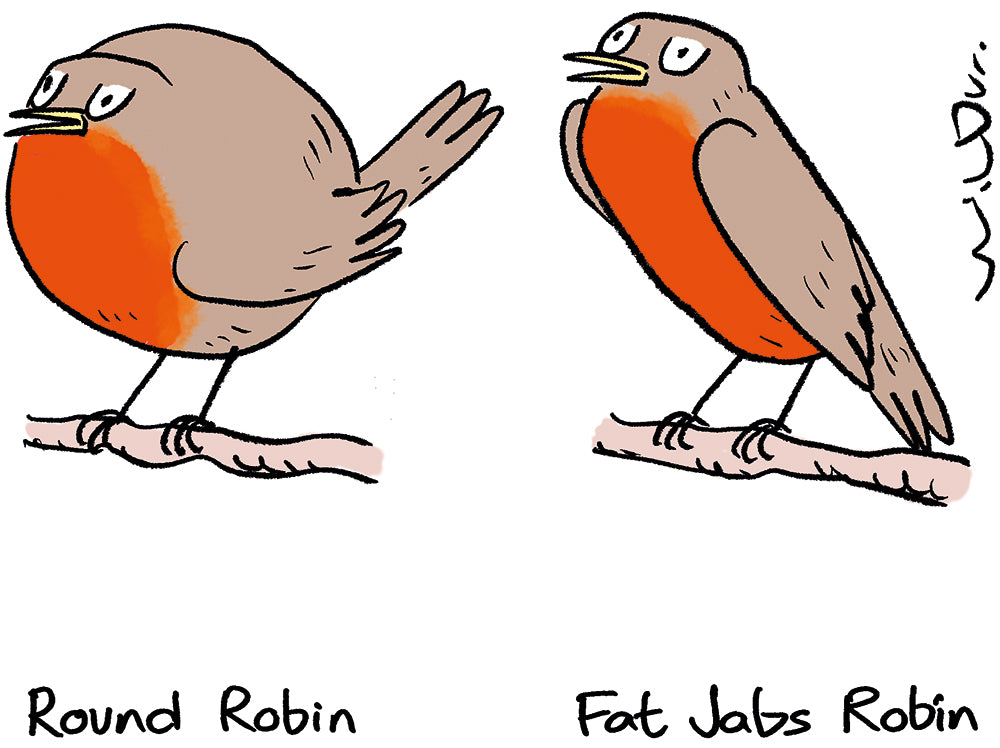Wilbur - Robin - 13 December 2025