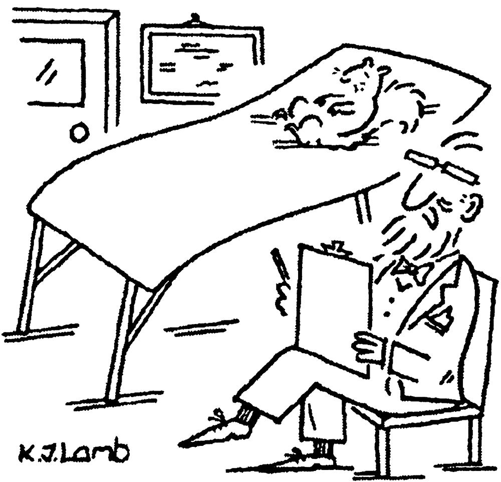 KJ Lamb - ‘Let’s talk about your hoarding and concealing food issues.’ - 3 October 2026