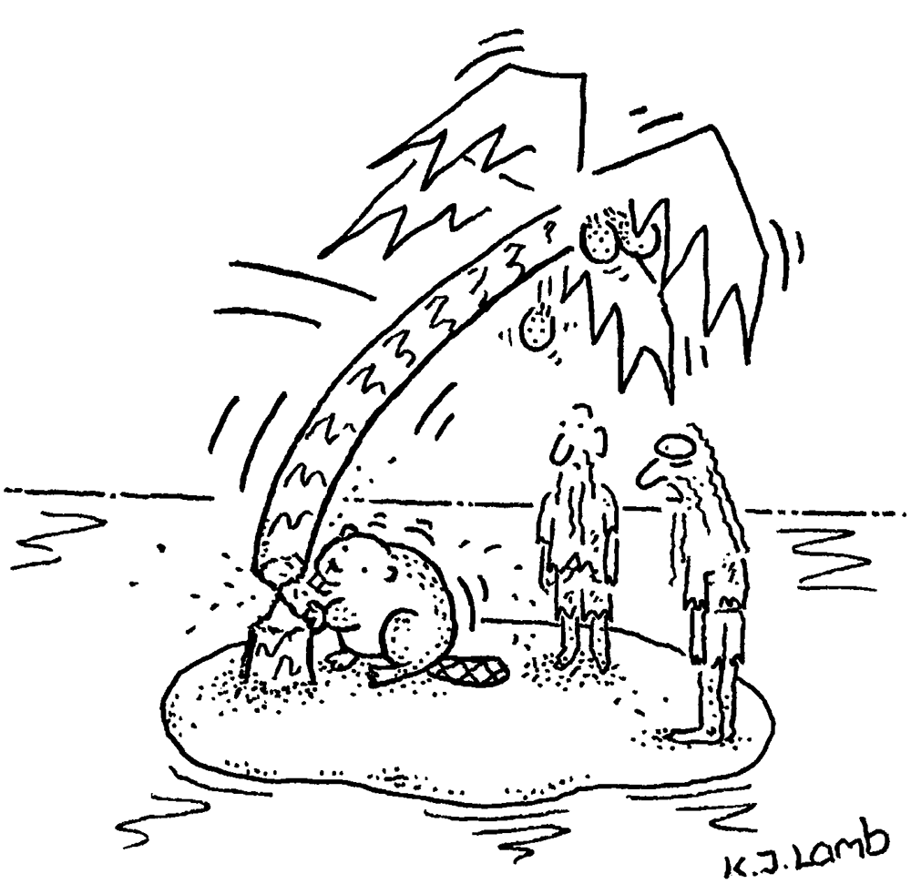 K J Lamb - Rewilding initiative - 1 February 2025