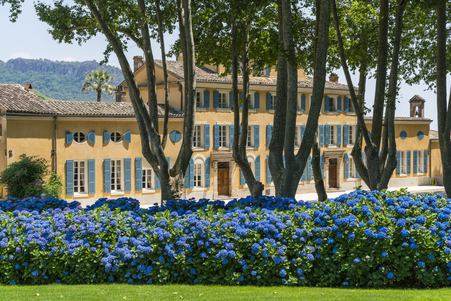 The Rosés of Ch. d’Esclans Winemaker Lunch, Friday 6 June, 12.30pm for 1pm, Spectator Boardroom