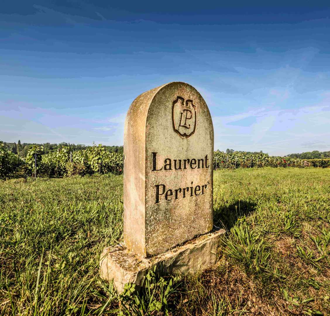 Laurent-Perrier Winemaker Lunch, Friday 12 June, Spectator Boardroom, 12.30 for 1pm