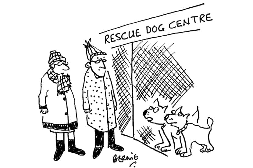 Bernie - ‘Don’t bother to look cute — look warm.’ - 15 January 2022