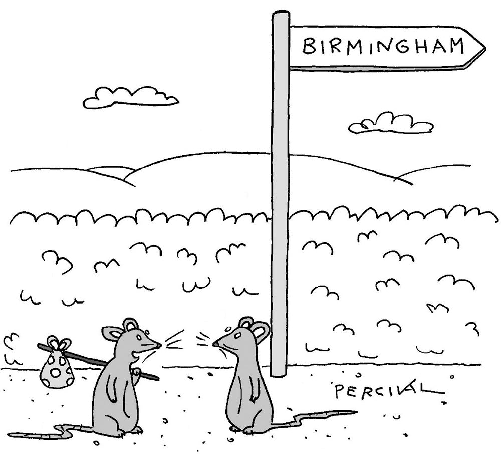 Percival - Binbags - 12 April 2025