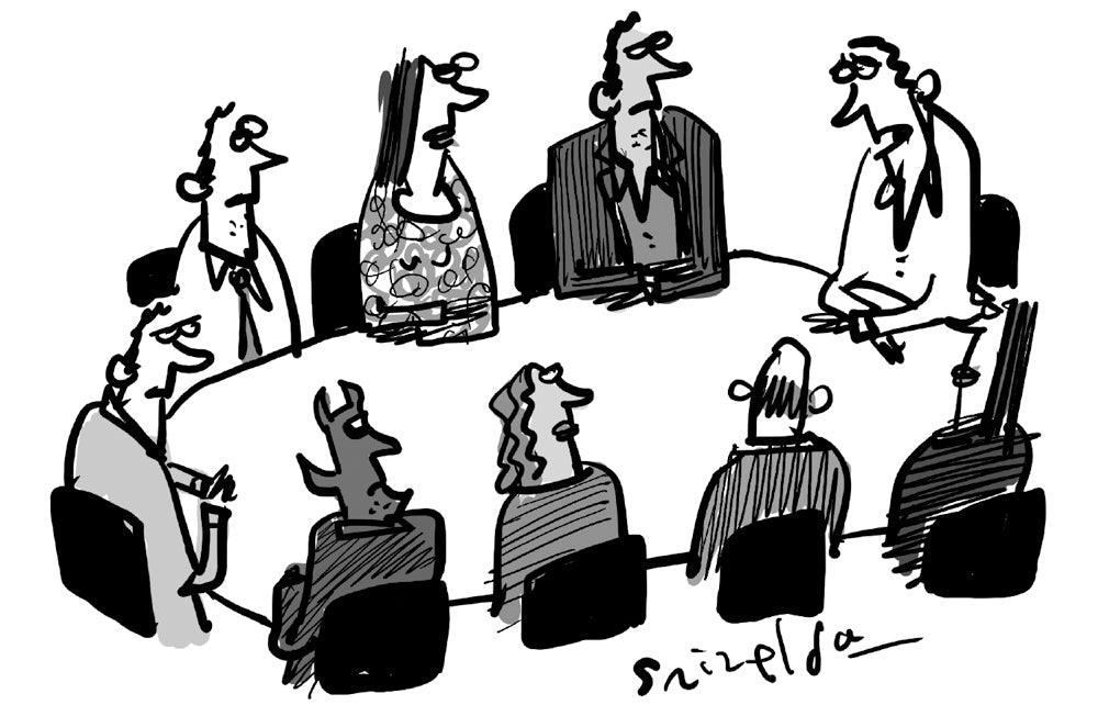 Grizelda - ‘We need a more rigorous process for our public appointments.’ - 14 February 2026