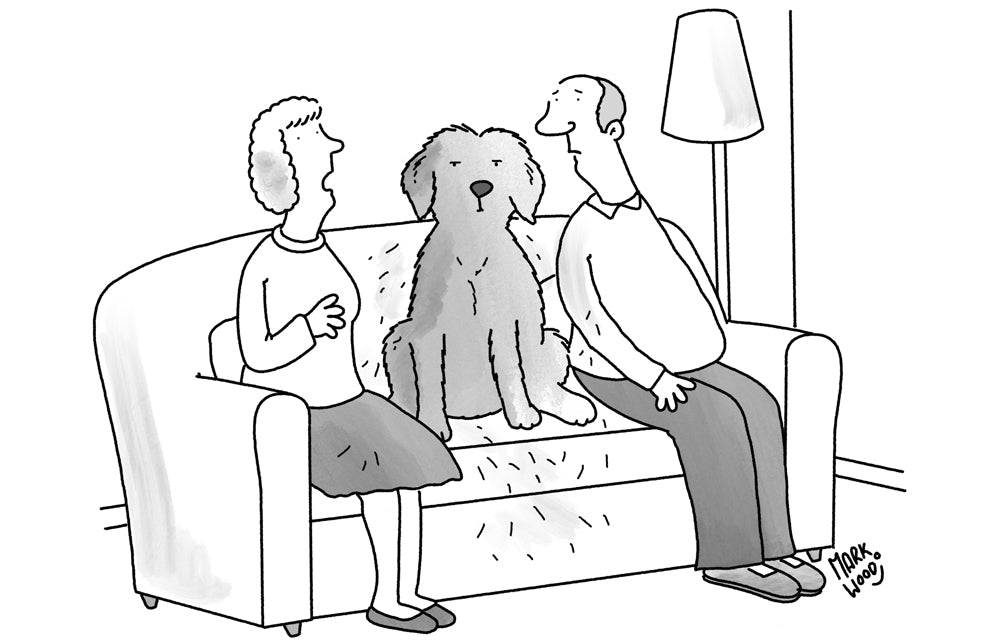 Mark Wood - ‘When it comes to babysitting, I think I’d prefer we had a grandchild.’ - 5 September 2026