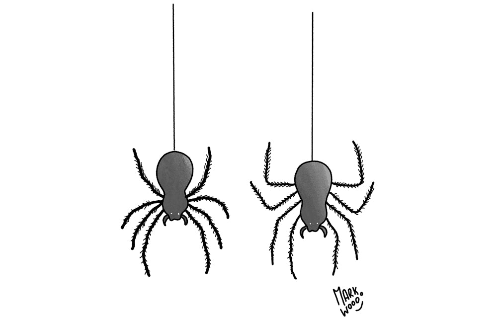 Mark Wood - ‘How long do you think Keir Starmer can keep hanging by a thread?’ - 21 February 2026