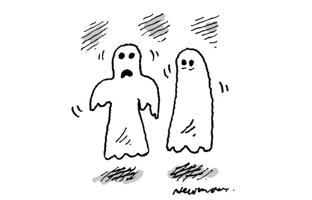 Nick Newman - If they ban burqas we could be in big trouble - 1 November 2025