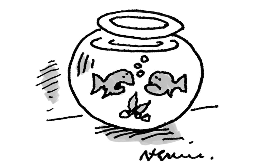 Nick Newman - ‘If they’ve freed Julian Assange there’s hope for us all.’ - 6 July 2024