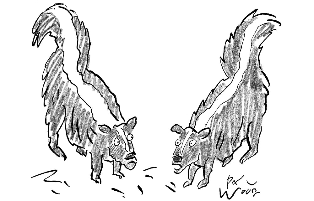 Paul Wood - In the UK you can smell skunk on every street corner - 30 August 2025