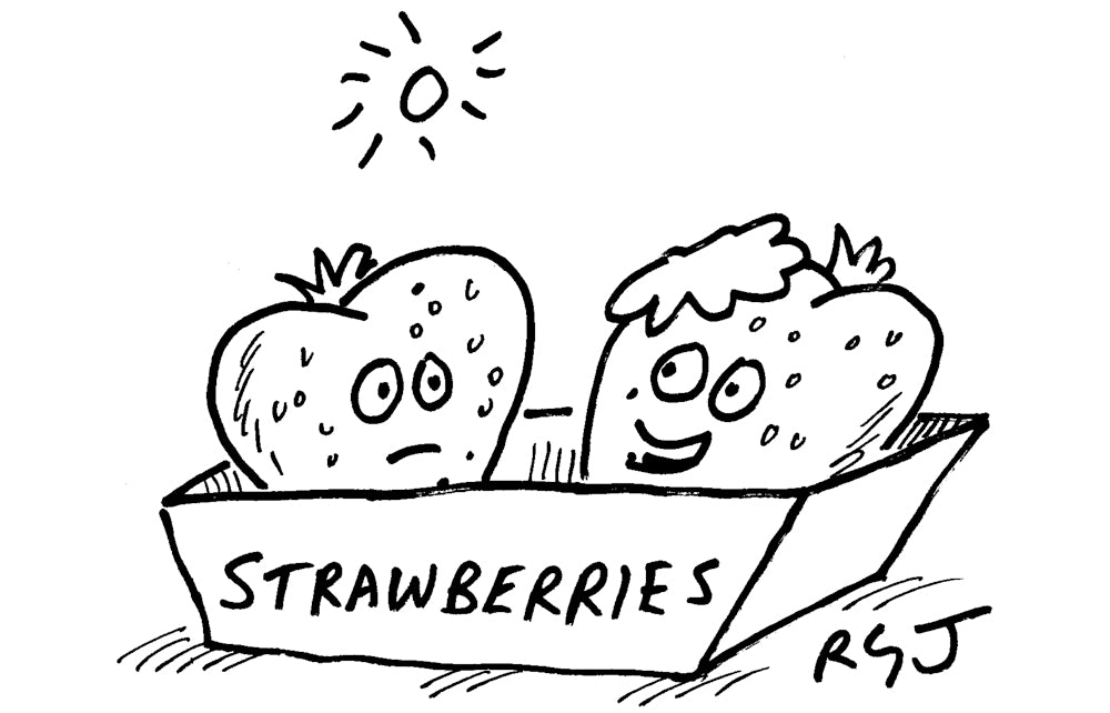 RGJ - ‘It’s summer. Make sure you’ve got some cream on.’ - 4 July 2026