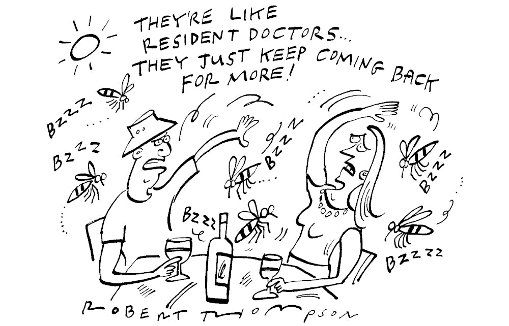 Robert Thompson - They're like resident doctors - 19 July 2025