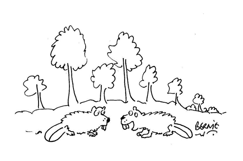 Bernie - ‘We can stay but we’ll have to share with 250 new builds.’ - 15 August 2020