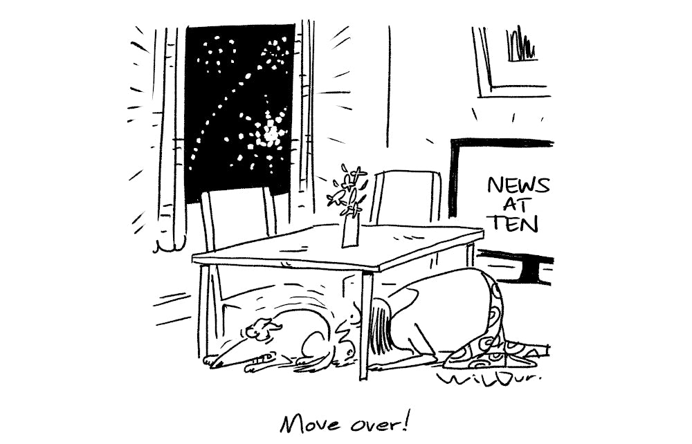 Wilbur - Move over! - 1 November 2025