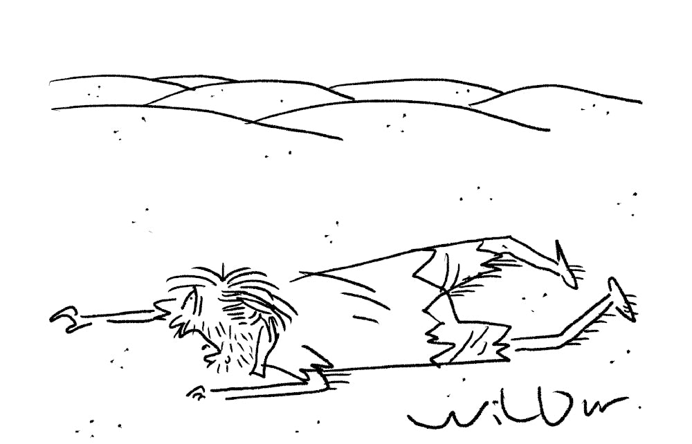 Wilbur - ‘Someone to vote for... someone to vote for.’ - 6 July 2024