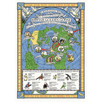 A Migration Map of the British Golden Goose