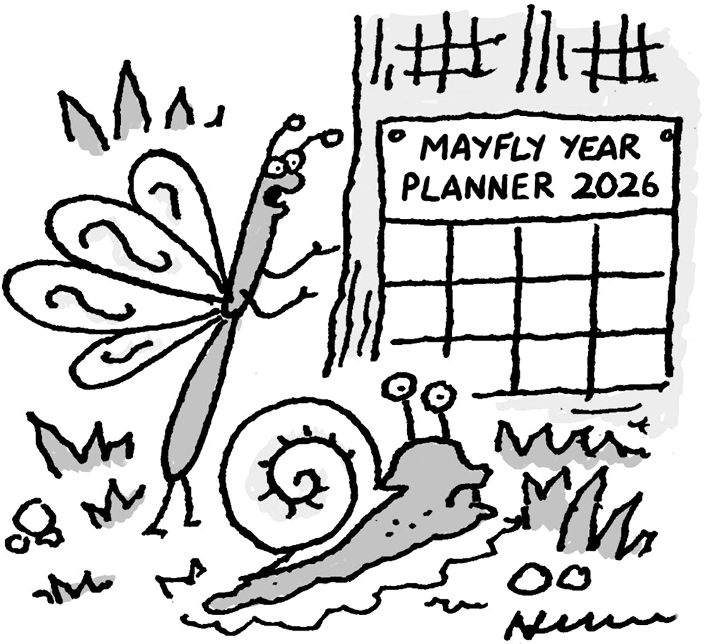 Nick Newman - ‘Keir Starmer surviving has given me great hope for the future!’ - 3 January 2026