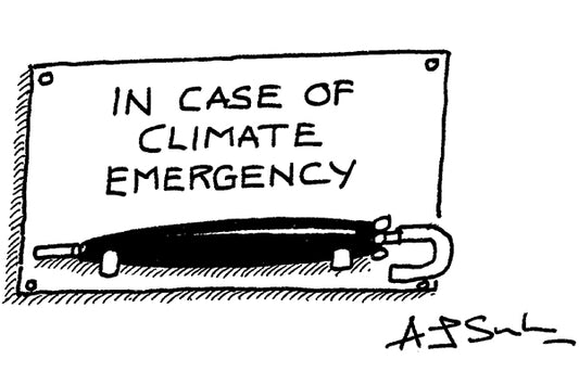 A J Singleton - In case of climate emergency - 21 August 2021