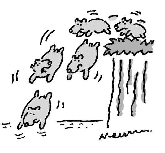Newman - Is it too late for a letter of no confidence? - 11 October 2025