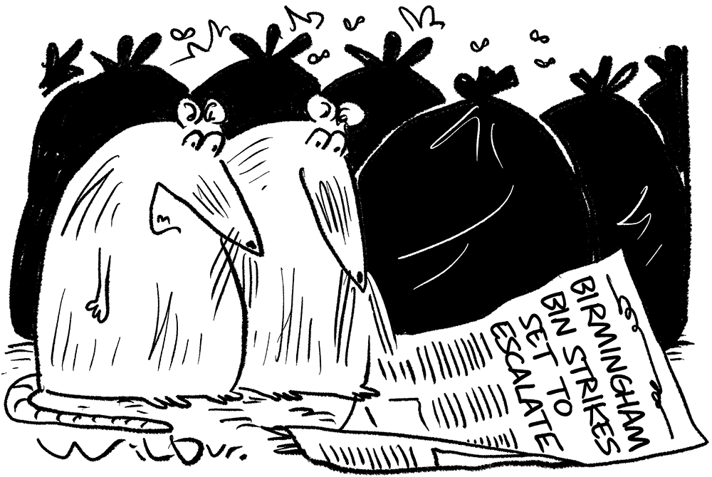 Wilbur - Ah, some good news for once - 22 November 2025