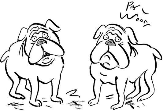 Paul Wood - ‘I’m confused – are we English or British bulldogs?’ - 17 October 2026