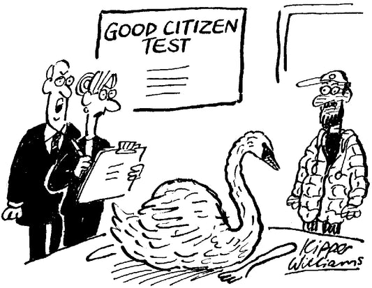 Kipper Williams - Fail him if he eats it - 4 October 2025