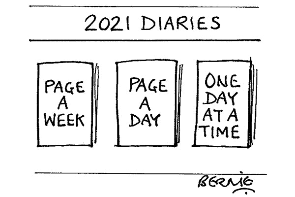 Bernie - 2021 diaries - 16 January 2021