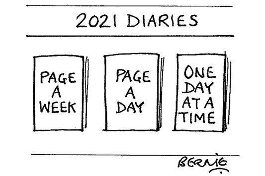 Bernie - 2021 diaries - 16 January 2021