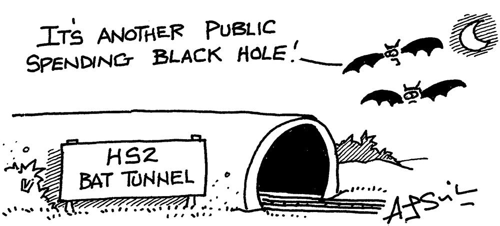 A J Singleton - HS2 bat tunnel - 22 February 2025