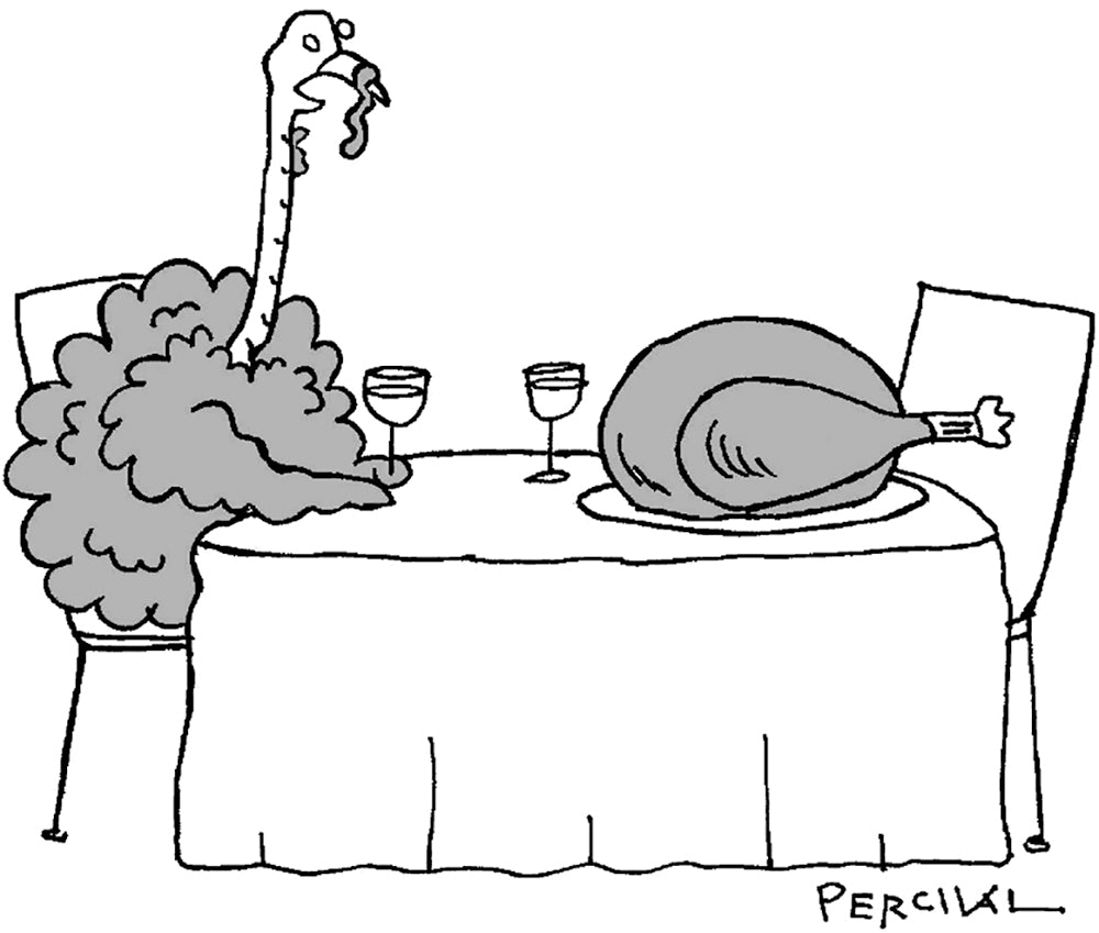 Matt Percival - ‘You look nothing like your profile photo.’ - 13 December 2025