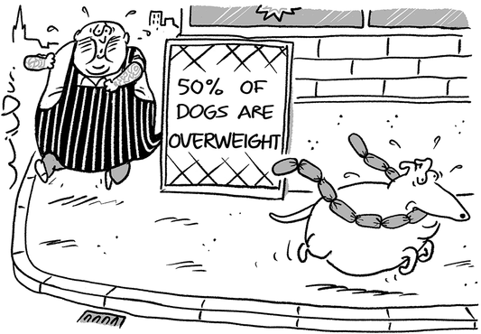 Wilbur - 50% of dogs… - 2 May 2026