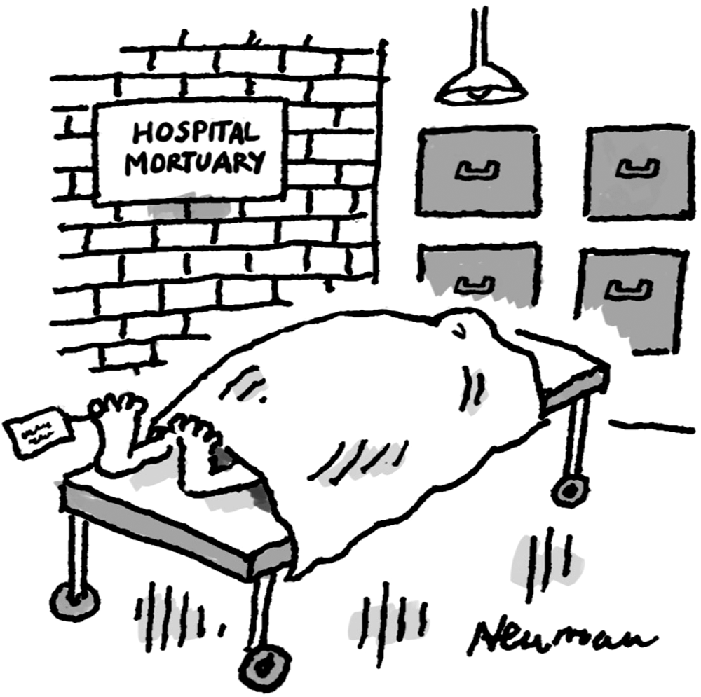 Nick Newman - ‘It’s just nice to be somewhere cool.’ - 18 July 2026