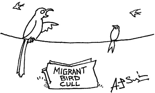 AJ Singleton - ‘It won’t affect me – I was born here.’ - 11 July 2026