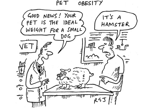 RGJ - Pet Obesity - 14 March 2020