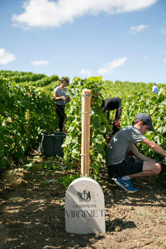 Champagne Virginie T. Winemaker Dinner | Wednesday 5 November | 6.30 – 10pm | Spectator Boardroom £165