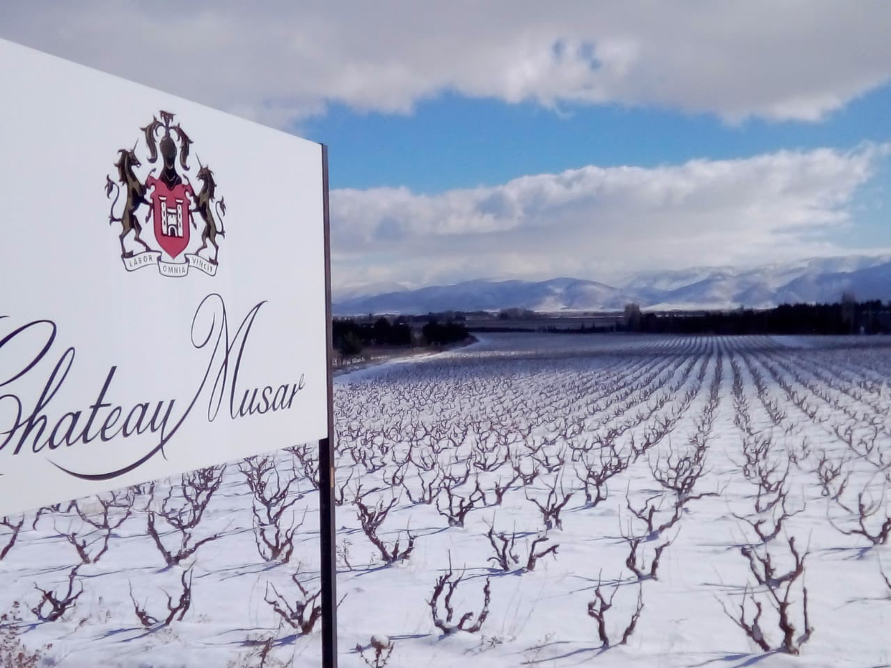 Chateau Musar Winemaker Dinner | Wednesday 6 May | 7pm for 7.30pm | The Library at 6 Old Queen St