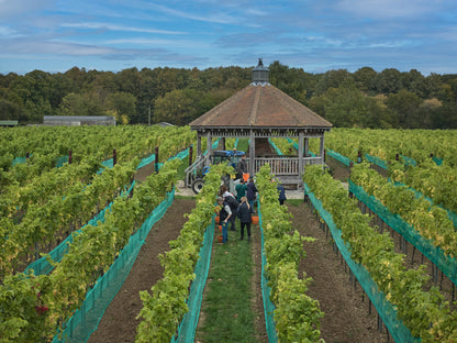 Danbury Ridge Winemaker Lunch, Friday 6 November, 12.30pm for 1pm