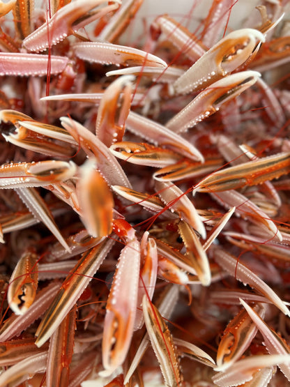 Shellfish Masterclass in association with Wright Bros. | Thursday 1 May, 6.30 – 8pm | The Library, upstairs at Old Queen Street Café