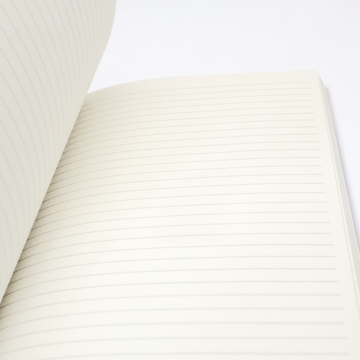 The Spectator Notebook