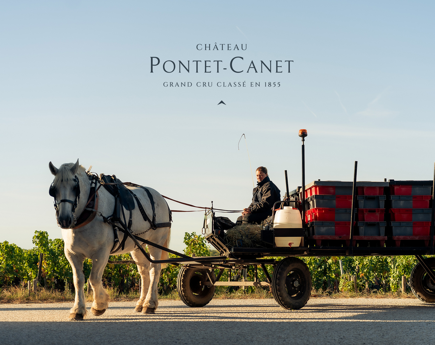Ch. Pontet-Canet Winemaker Lunch, Friday 4 September, Spectator Boardroom, 12.30 for 1pm