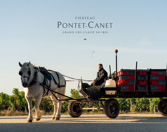 Château Pontet-Canet Winemaker Lunch, Friday 4 September, Spectator Boardroom, 12.30 for 1pm