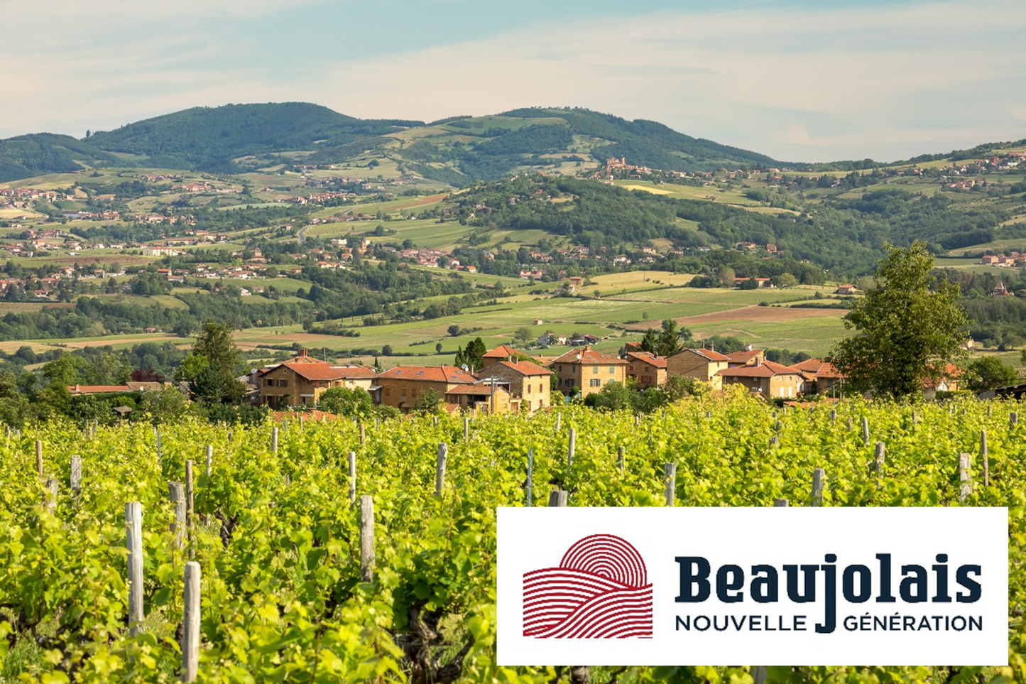 Martin Vander Weyer Christmas Wine Lunch |15 December | Le Beaujolais Club |from 12.30pm