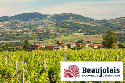 Martin Vander Weyer Christmas Wine Lunch |15 December | Le Beaujolais Club |from 12.30pm