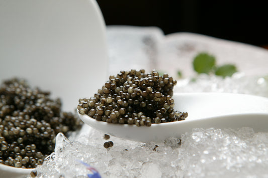 Caviar Masterclass & Tasting with Kings Fine Foods | Thursday 13 March, 6.30pm - 8pm | Spectator Boardroom