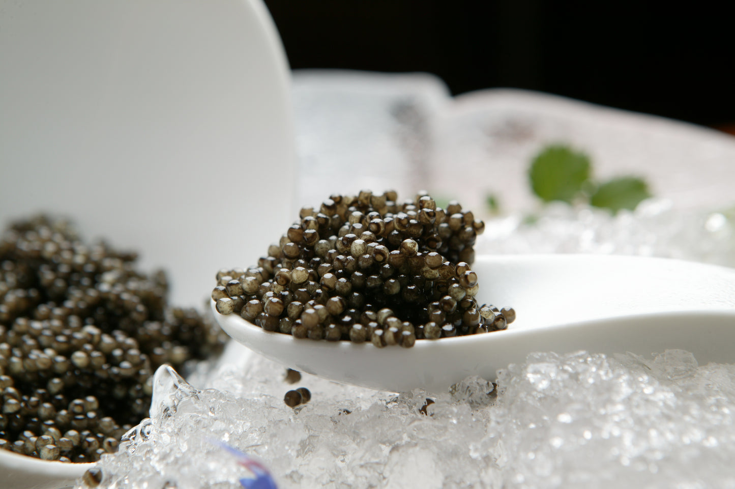 Caviar & Smoked Salmon Masterclass, The Library, 6 Old Queen St., Thursday 11 June, 6.30 – 8pm