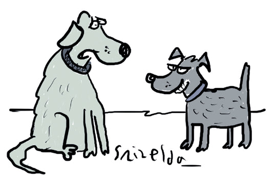 Grizelda - ‘It’s not fair! I wish I was allowed to behave like a rescue dog.’ - 27 July 2024