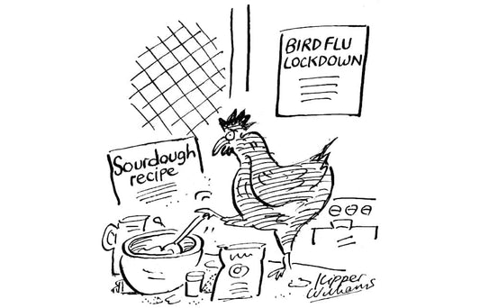 Kipper Williams - Bird flu lockdown - 22 October 2022