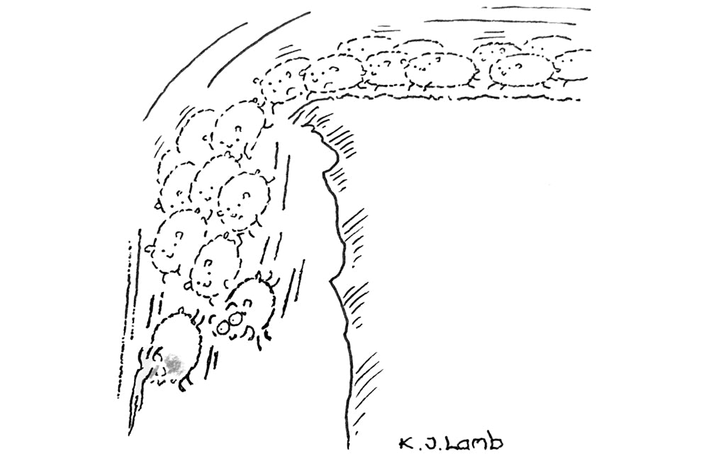 KJ Lamb - ‘So, what’s our next move?’ - 21 March 2026